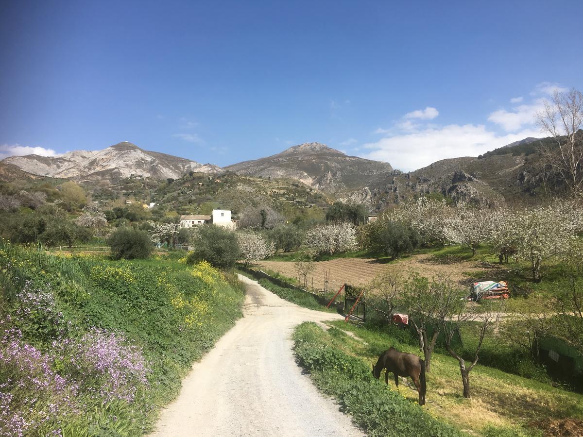 Hotel Rural Fuente La Teja เกวคาร์-เซียร์รา ภายนอก รูปภาพ